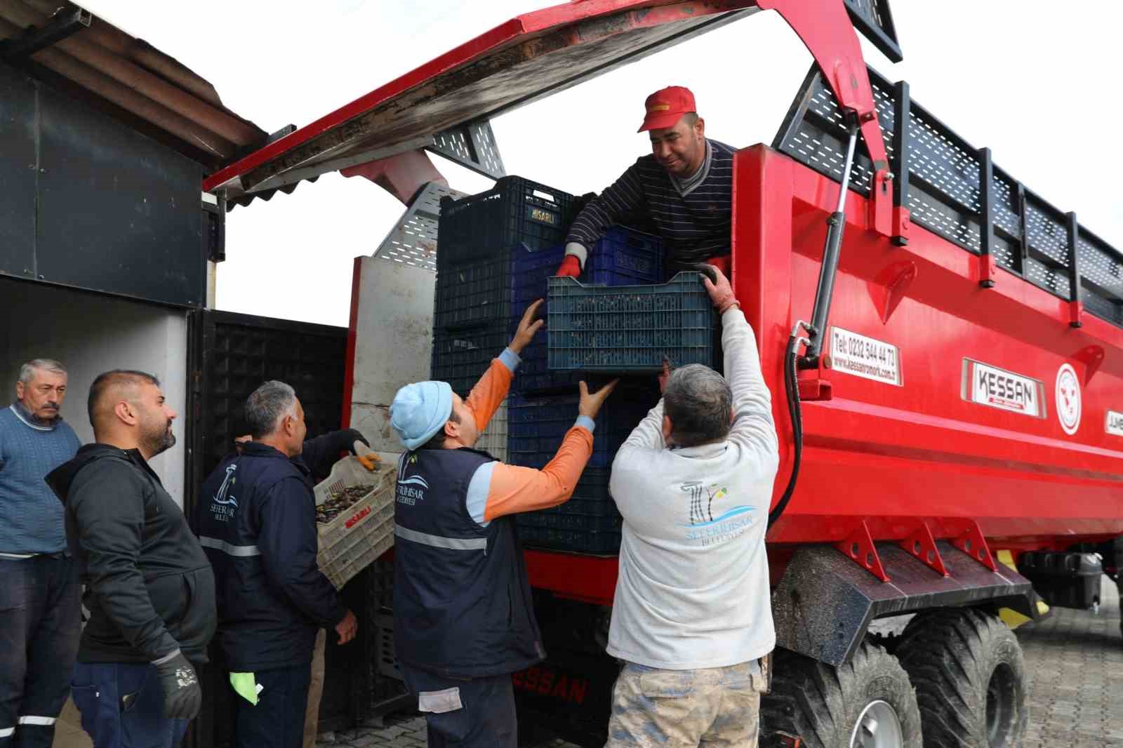 Seferihisar’da zeytinyağı sezonu açıldı
