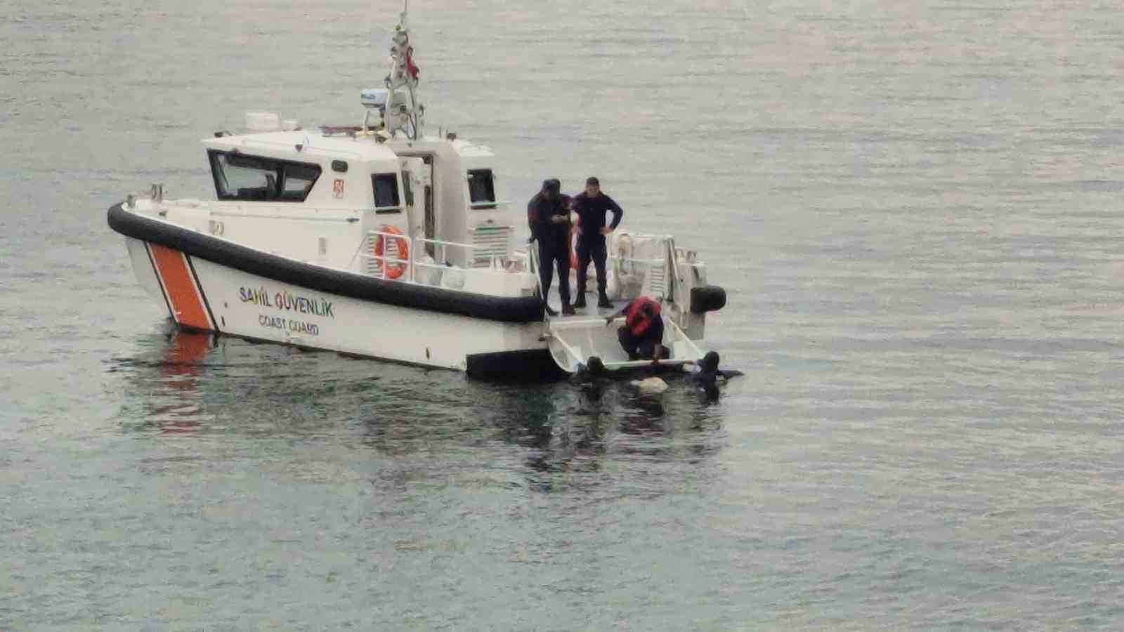 Denizdeki hayvan leşi Sahil Güvenliği alarma geçirdi
