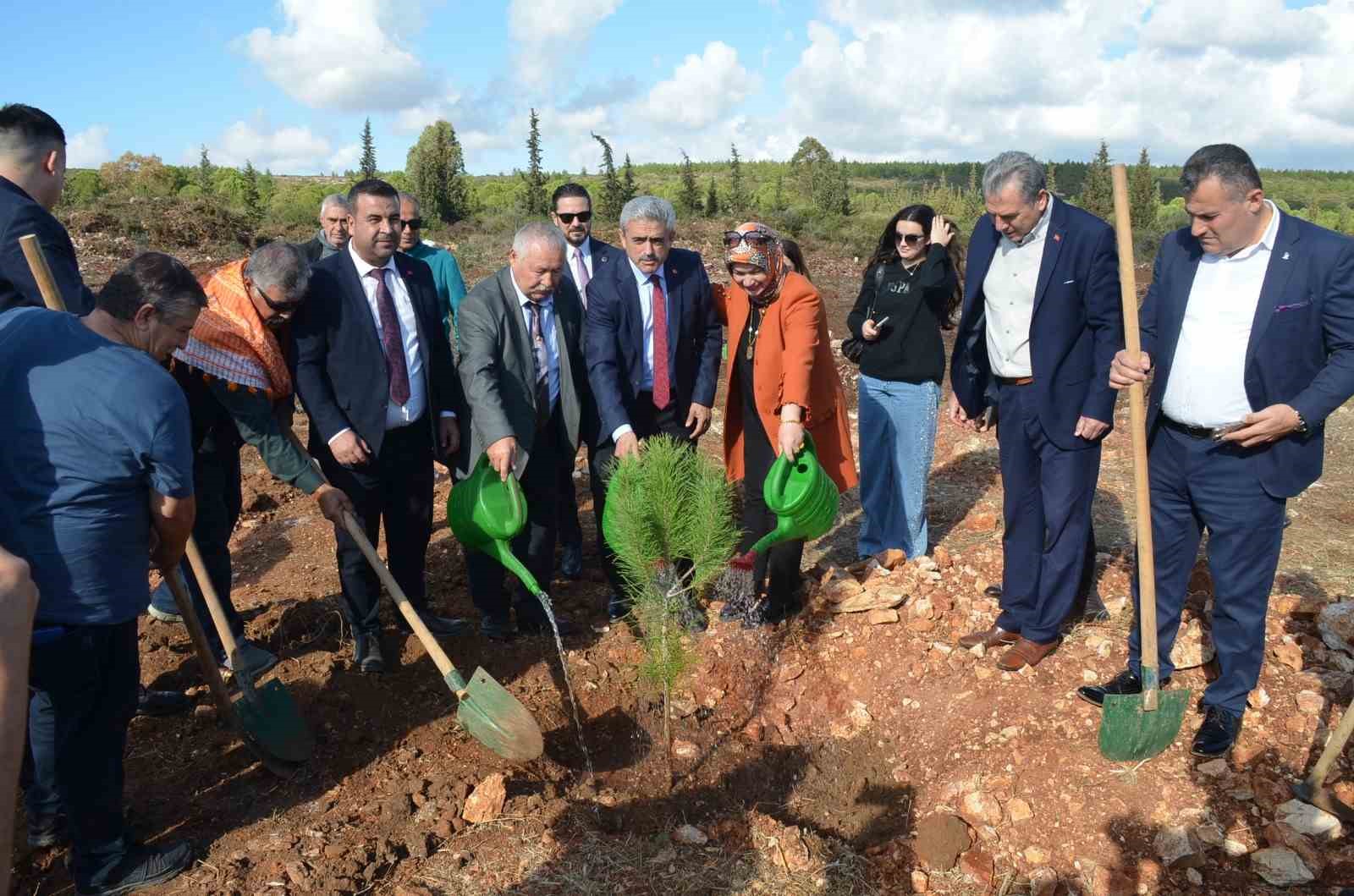 Didim’de ‘Devlet Bahçeli’ hatıra ormanı
