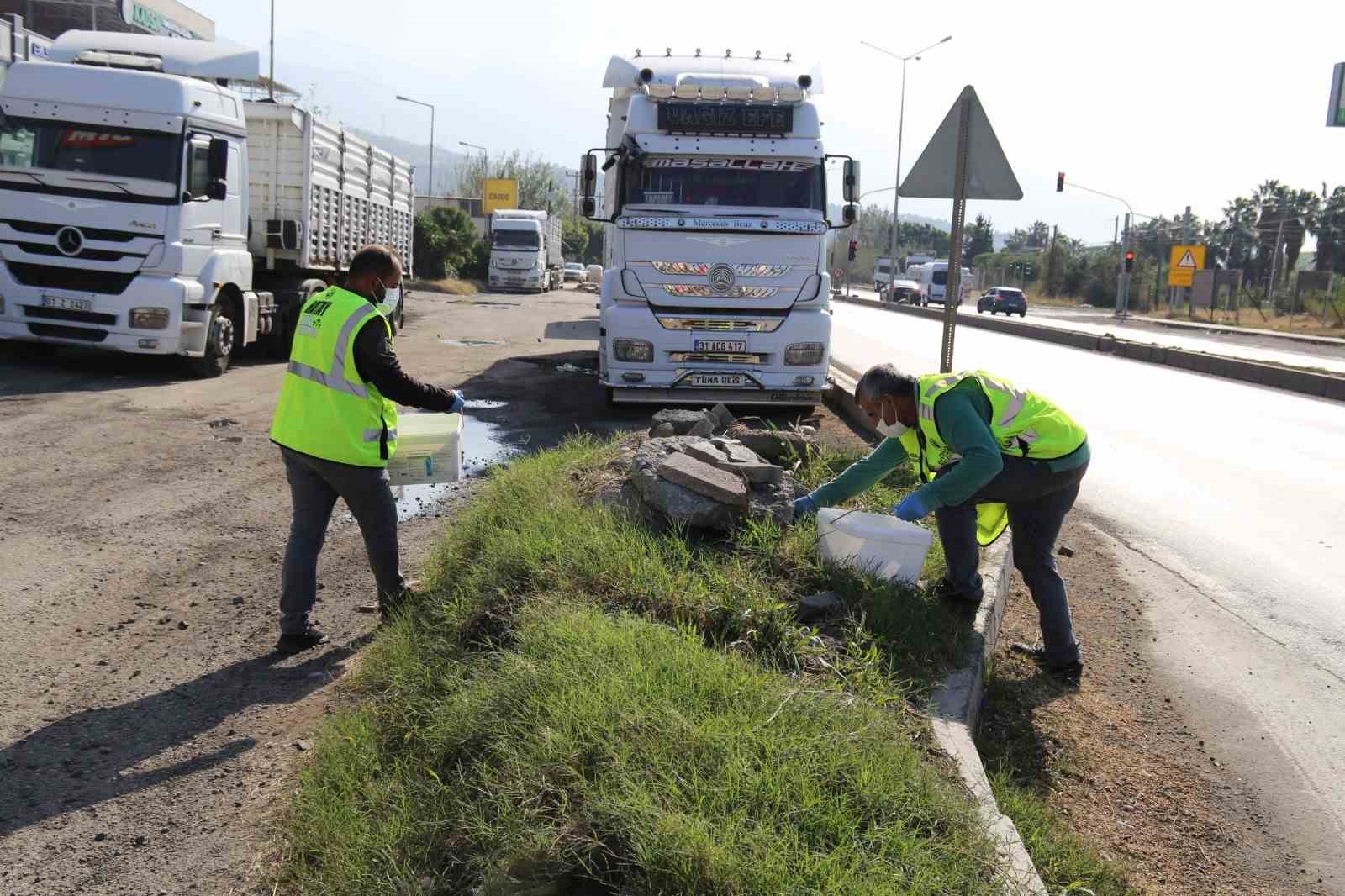 İstilacı farelerle mücadele için çalışma başlatıldı
