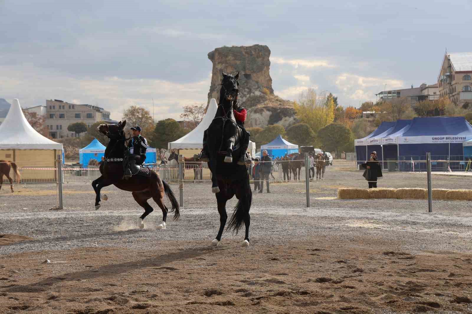 Onlarca at ve at sever bir araya geldi
