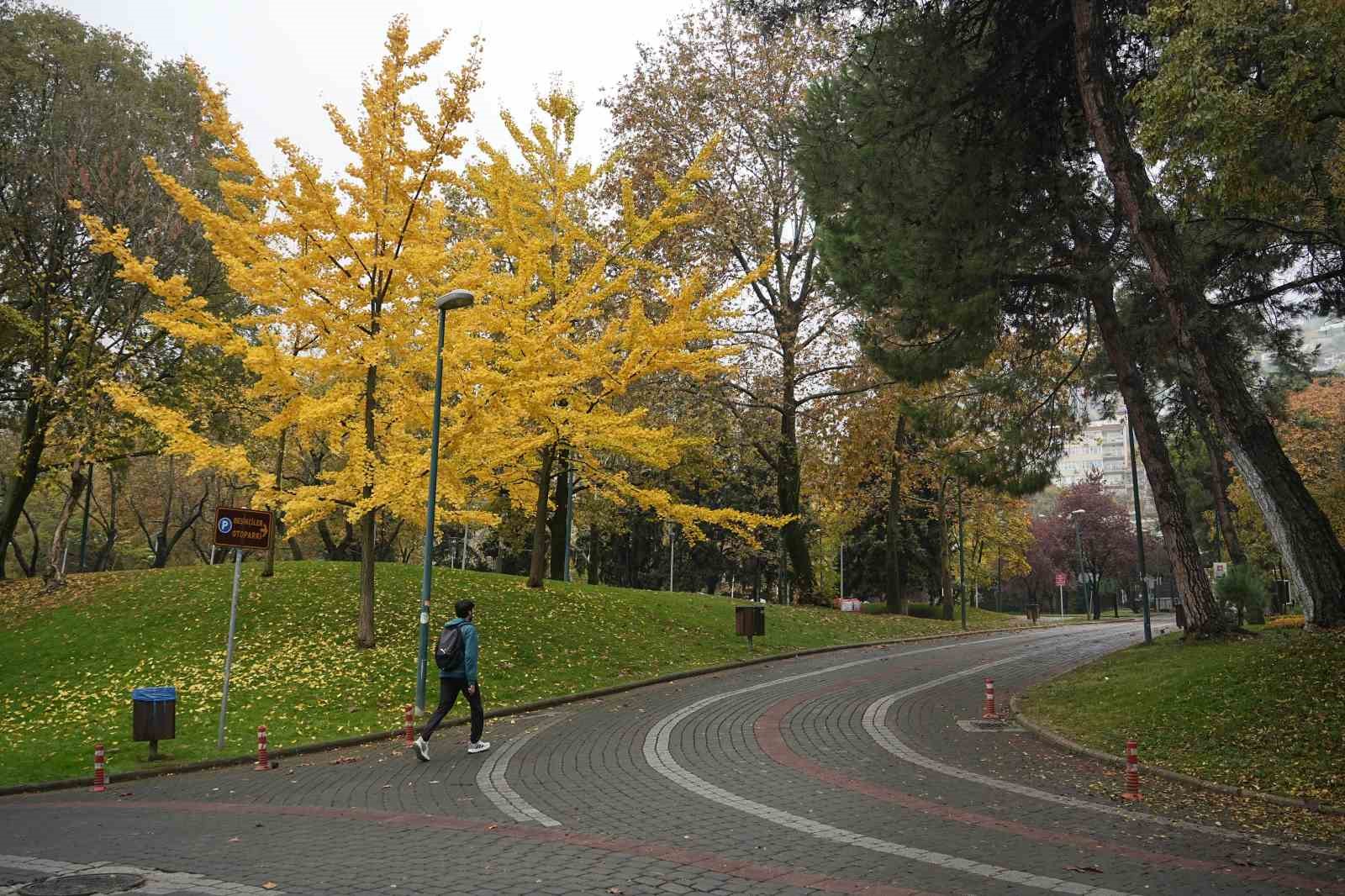 Bursa sonbahar renklerine büründü
