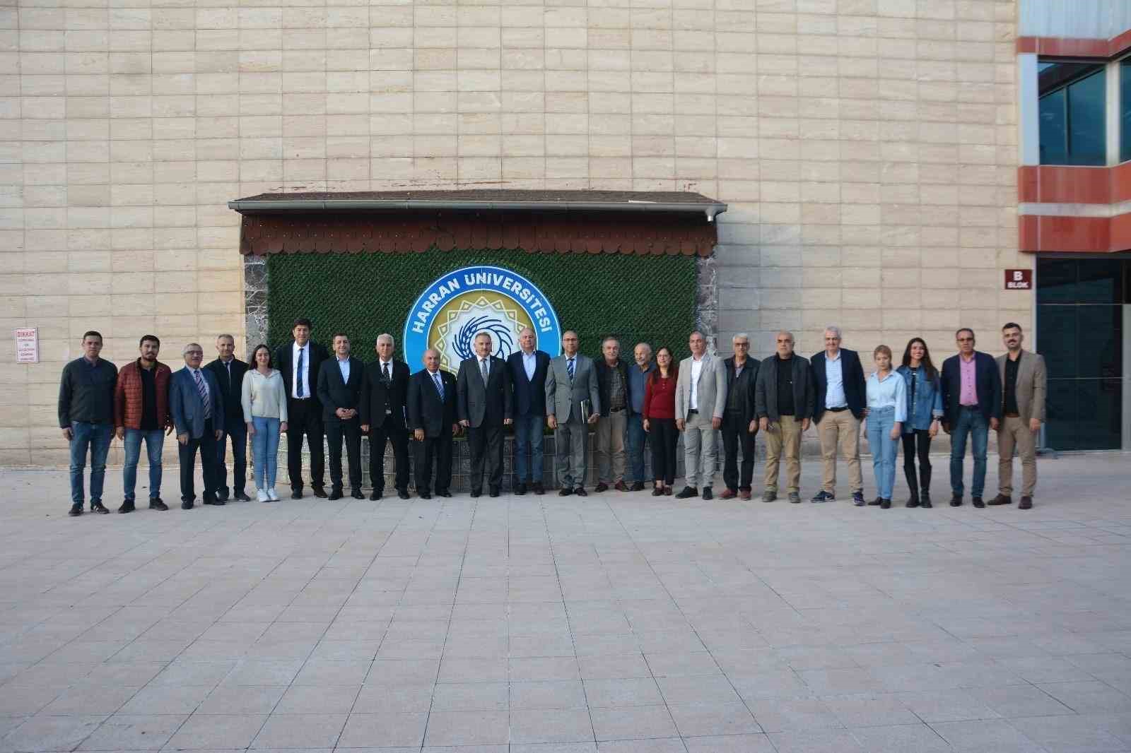 Şanlıurfa’da doğal renkli pamuğun hasadı başladı
