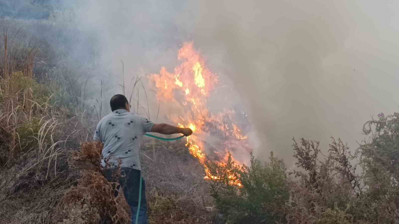 Sazlık alandaki yangına hortum ve bidonlarla müdahale ettiler
