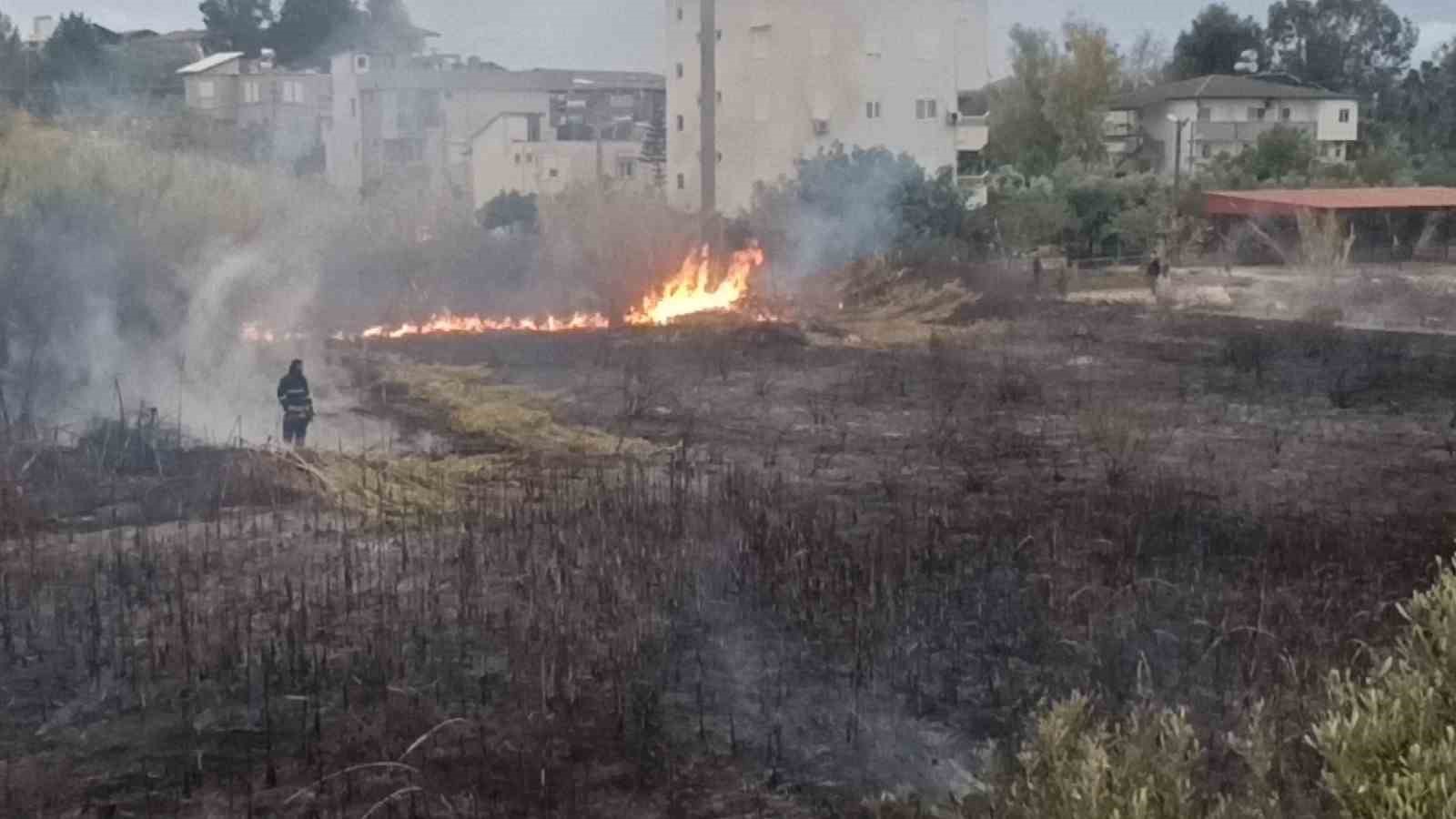 Sazlık alandaki yangına hortum ve bidonlarla müdahale ettiler
