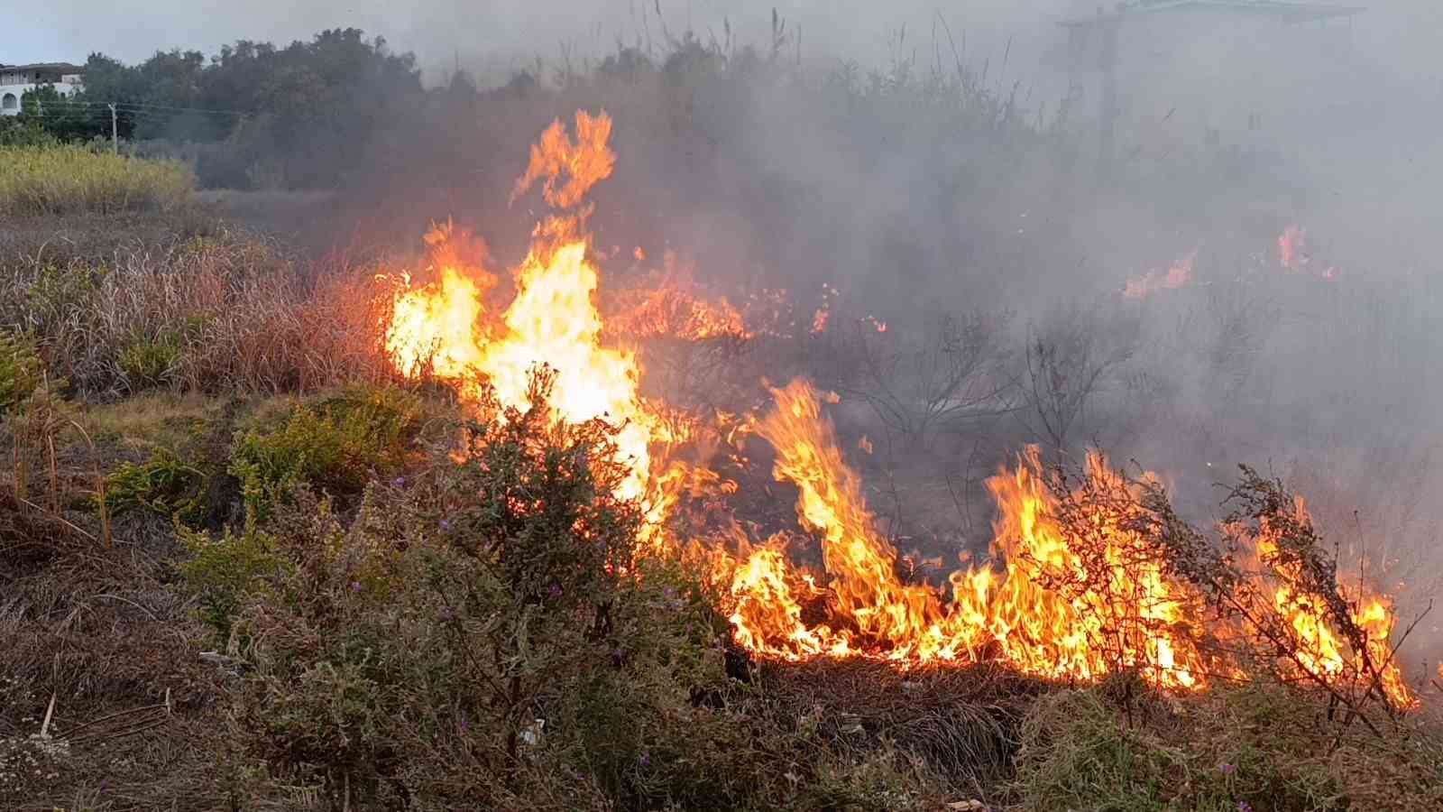 Sazlık alandaki yangına hortum ve bidonlarla müdahale ettiler
