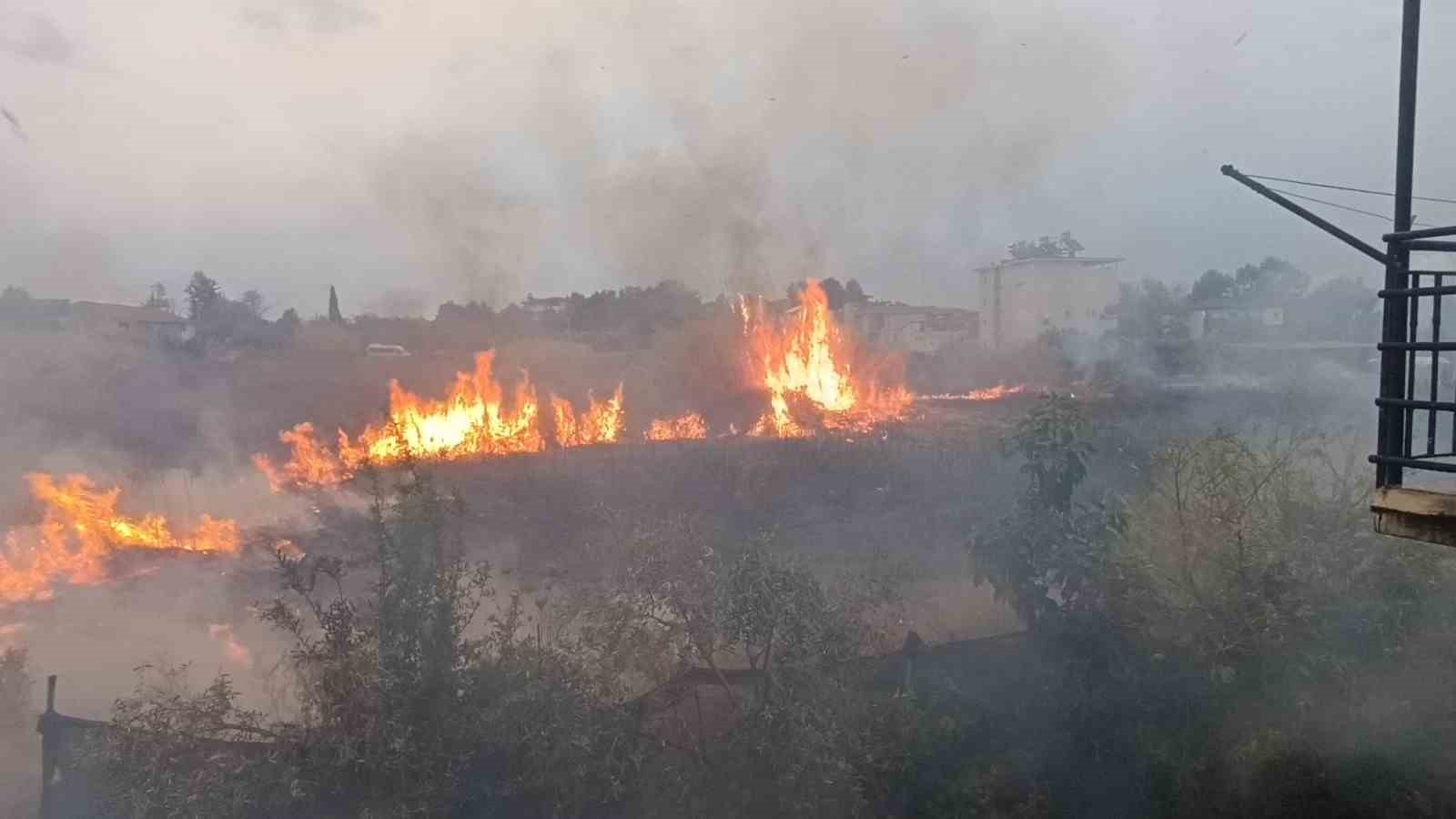 Sazlık alandaki yangına hortum ve bidonlarla müdahale ettiler
