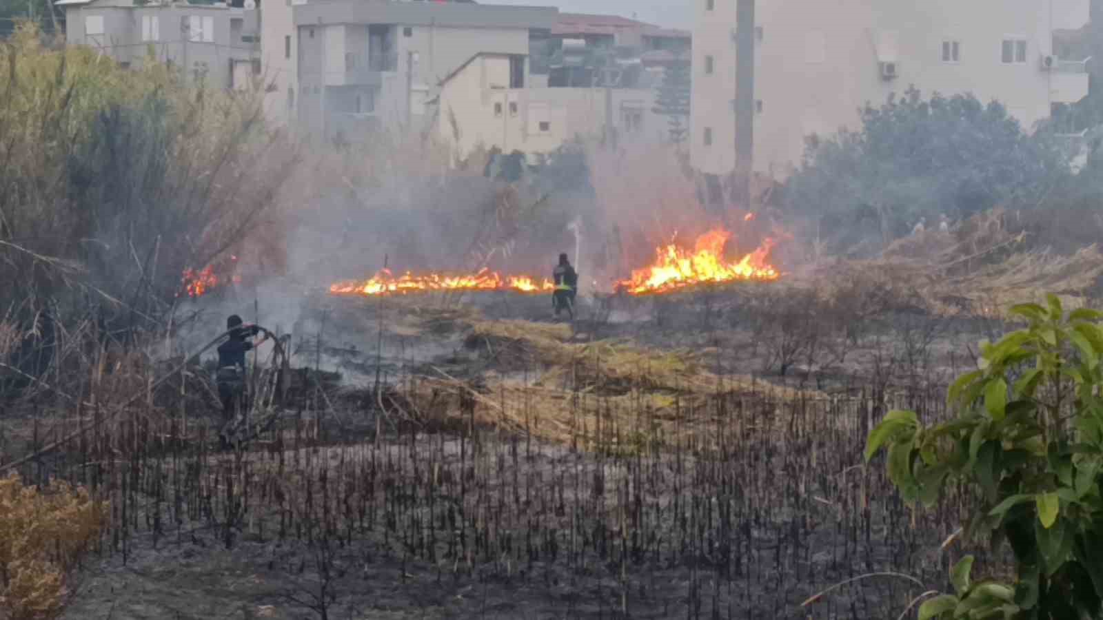 Sazlık alandaki yangına hortum ve bidonlarla müdahale ettiler
