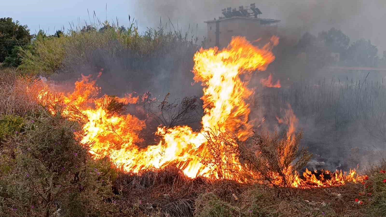 Sazlık alandaki yangına hortum ve bidonlarla müdahale ettiler
