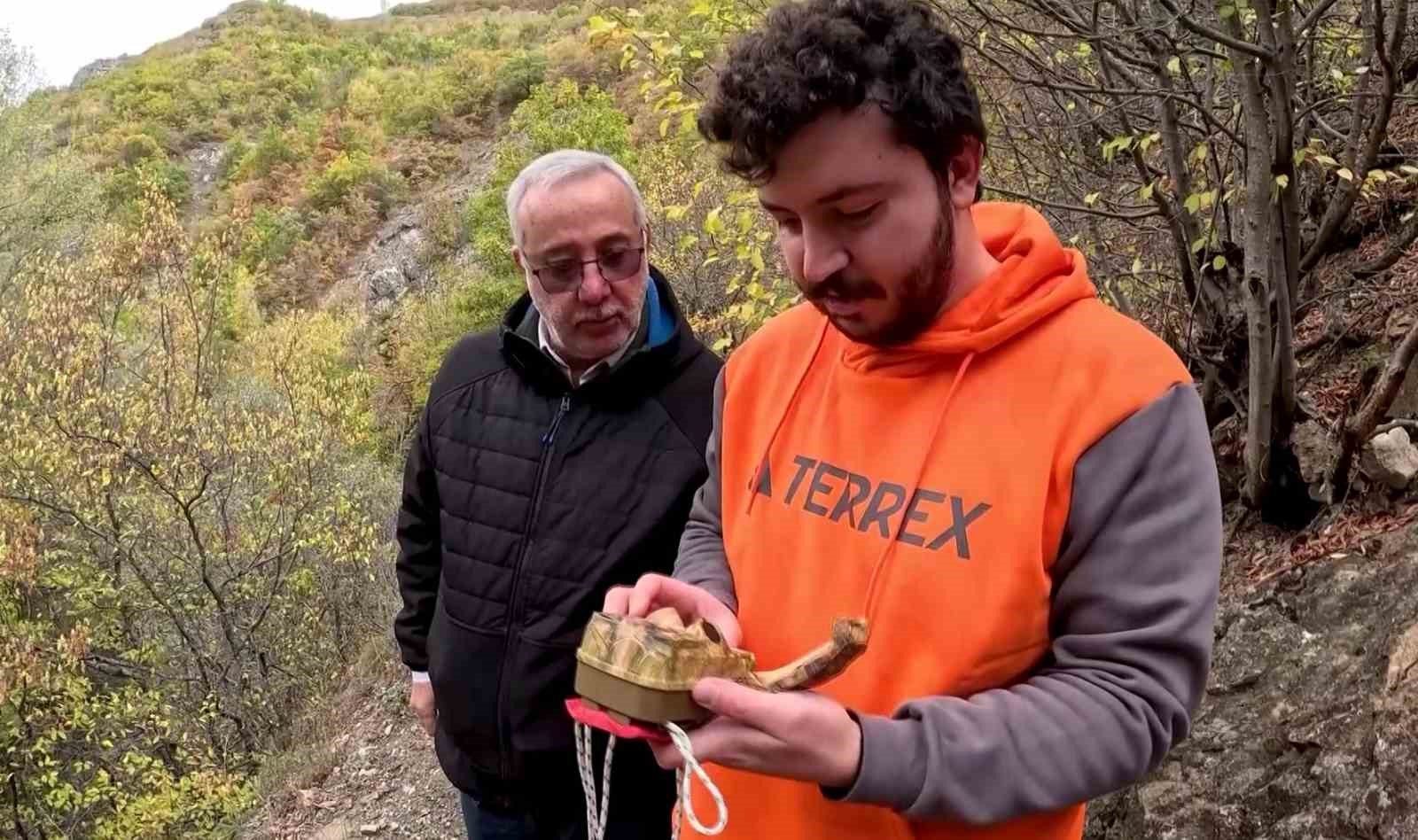 Yaban hayatı köprüsü, belgeselleri aratmayan görüntüler sundu
