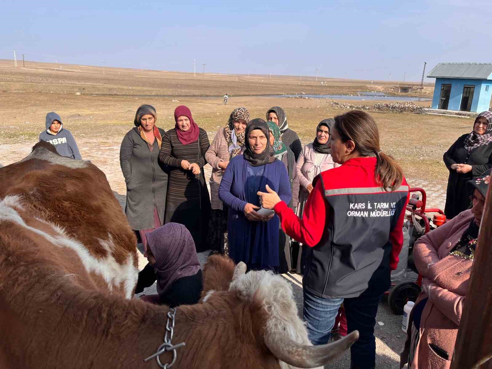 Kars’ta Büyükbaş Hayvancılıkta Sağım Hijyeni ve Sanitasyon Kursu eğitimi
