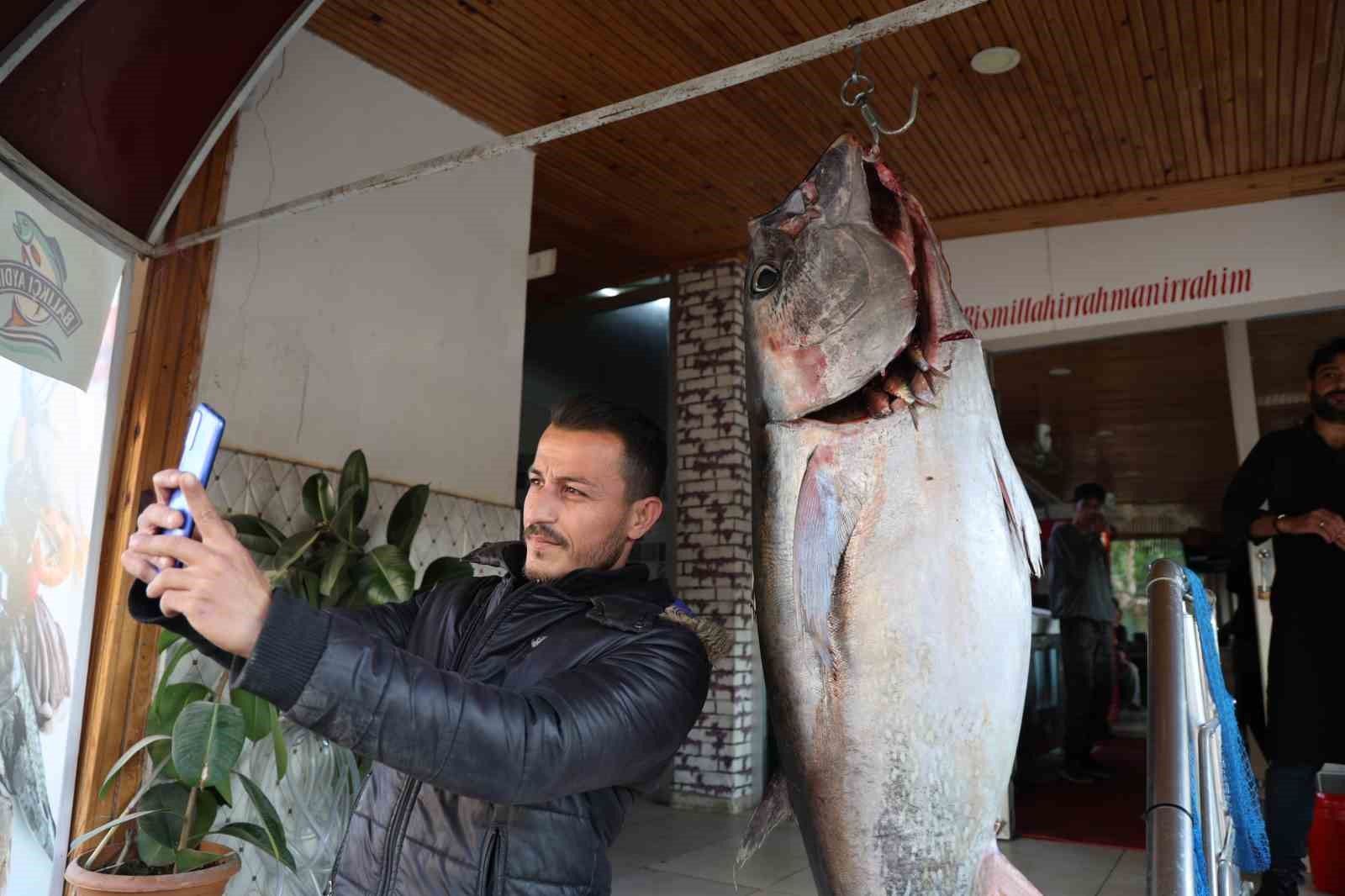 Balıkçı ağına insan boyunda orkinos takıldı
