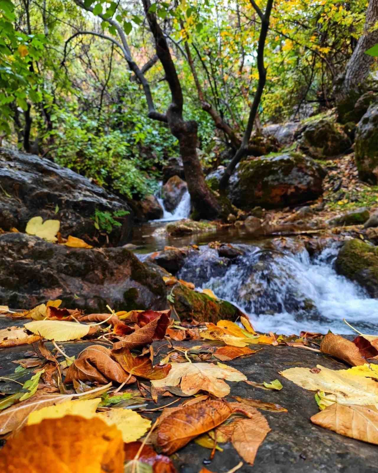 Siirt Zarova Çayı’nda renk cümbüşü
