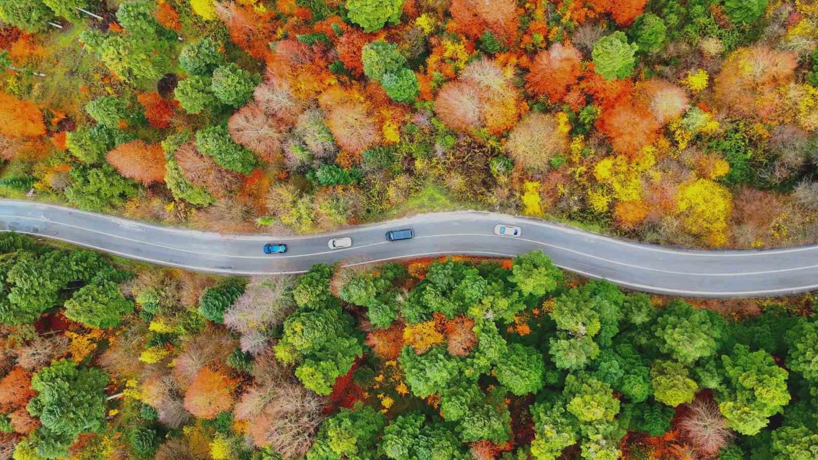 Gölcük Tabiat Parkı’nda mest eden sonbahar görüntüsü
