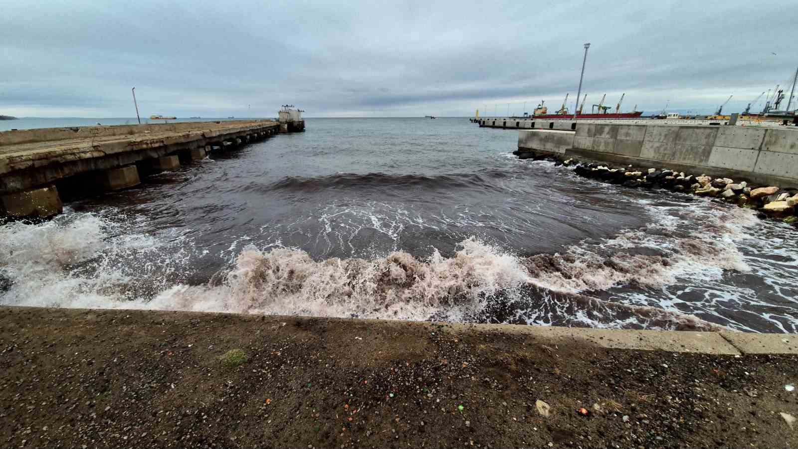 Tekirdağ’da poyraz fırtınası kızıl yosunları kıyıya taşıdı
