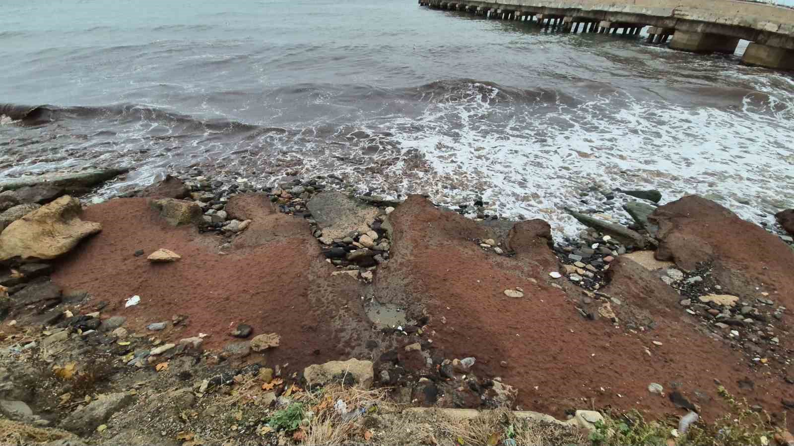 Tekirdağ’da poyraz fırtınası kızıl yosunları kıyıya taşıdı
