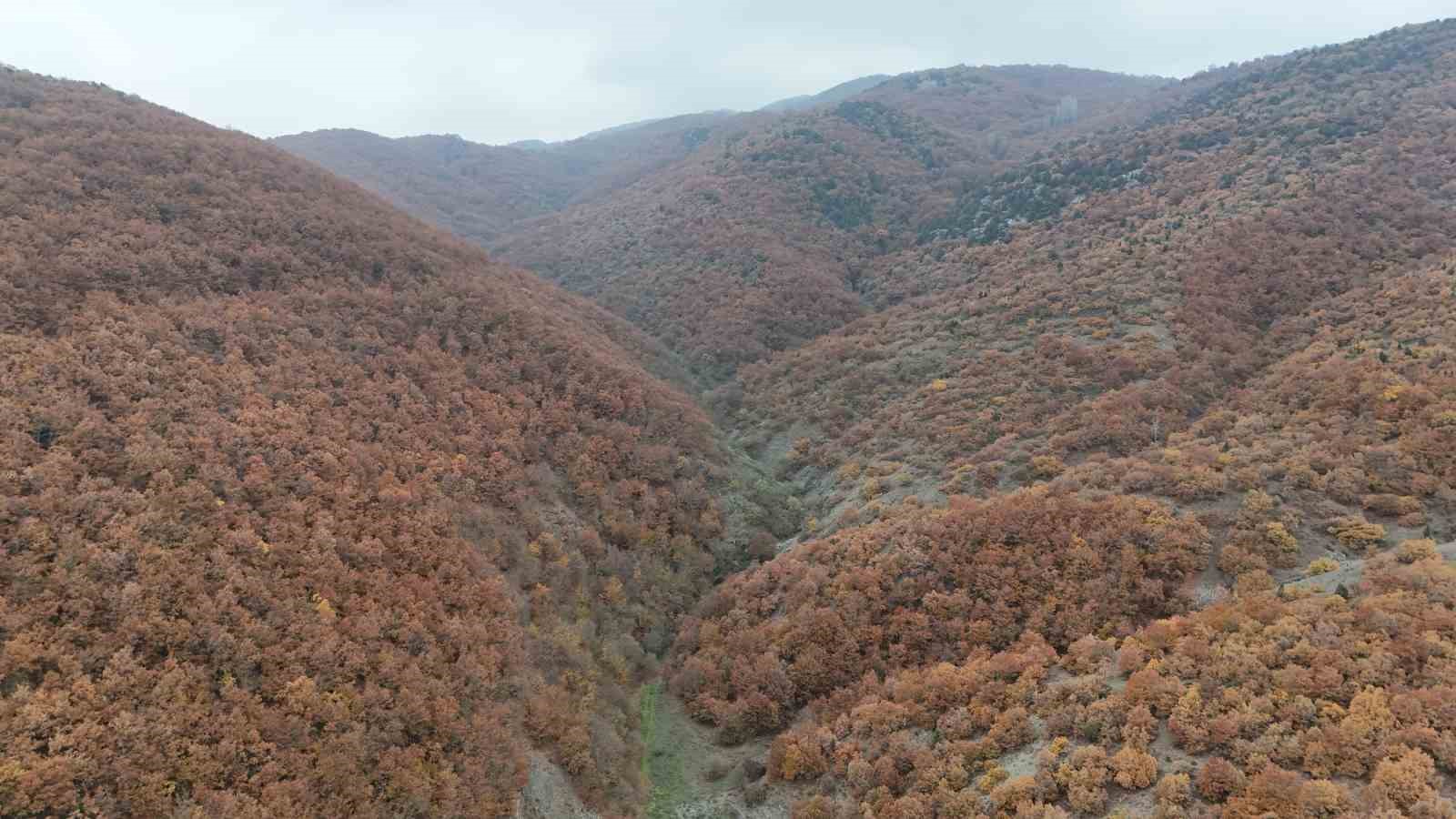 Bilecik’te sonbahar manzaralarını görenler hayran kalıyor
