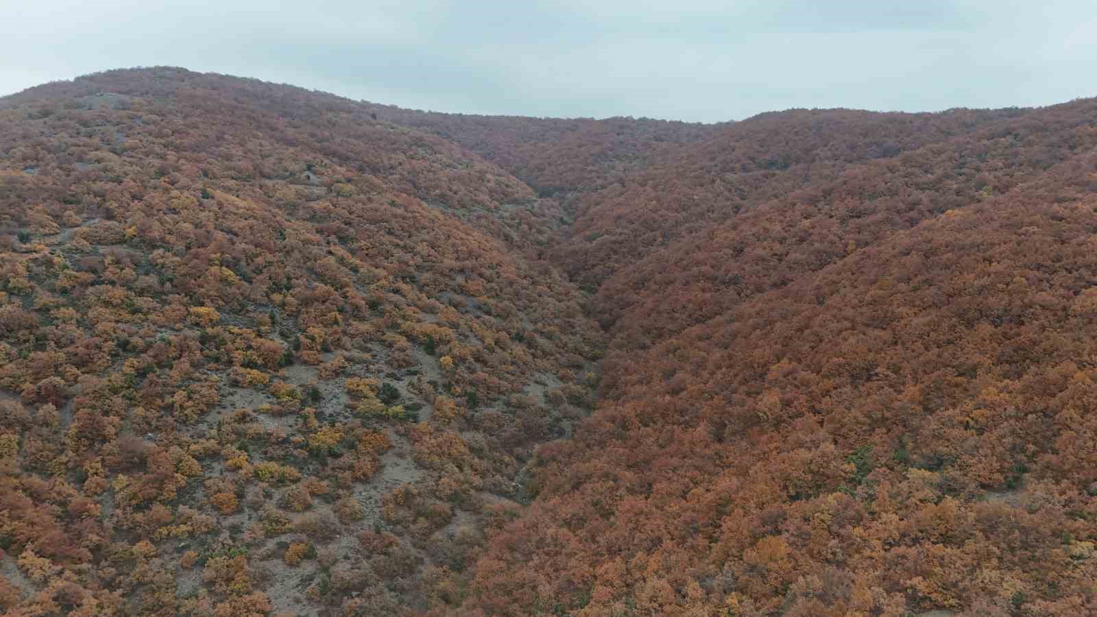 Bilecik’te sonbahar manzaralarını görenler hayran kalıyor
