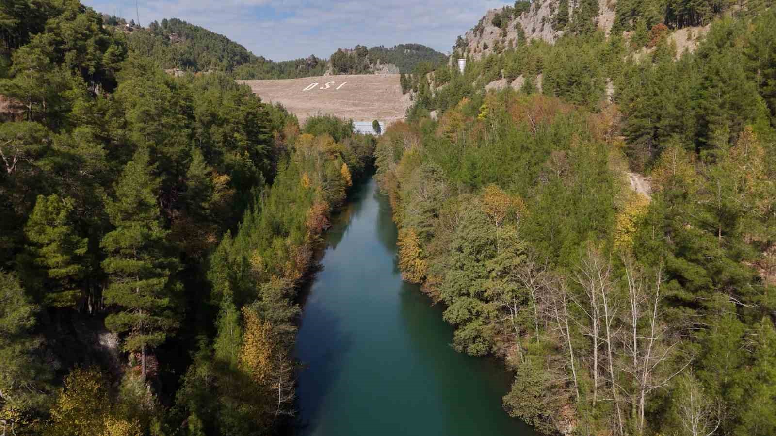 Dünyada ve Türkiye’de sadece Muğla ve Burdur’da bulunuyor, eşsiz güzelliği ile göz kamaştırıyor
