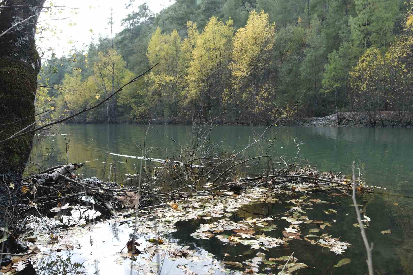 Dünyada ve Türkiye’de sadece Muğla ve Burdur’da bulunuyor, eşsiz güzelliği ile göz kamaştırıyor
