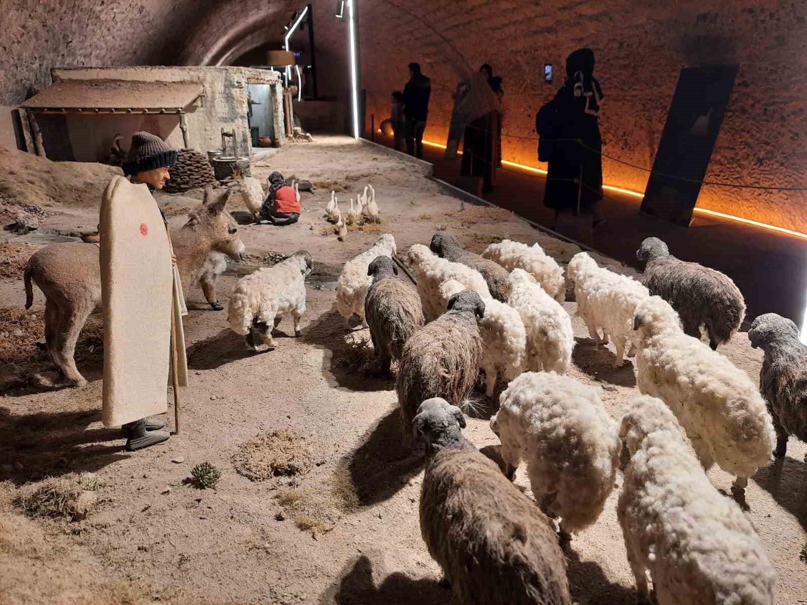 Kars Peynir Müzesi yoğun ilgi görüyor
