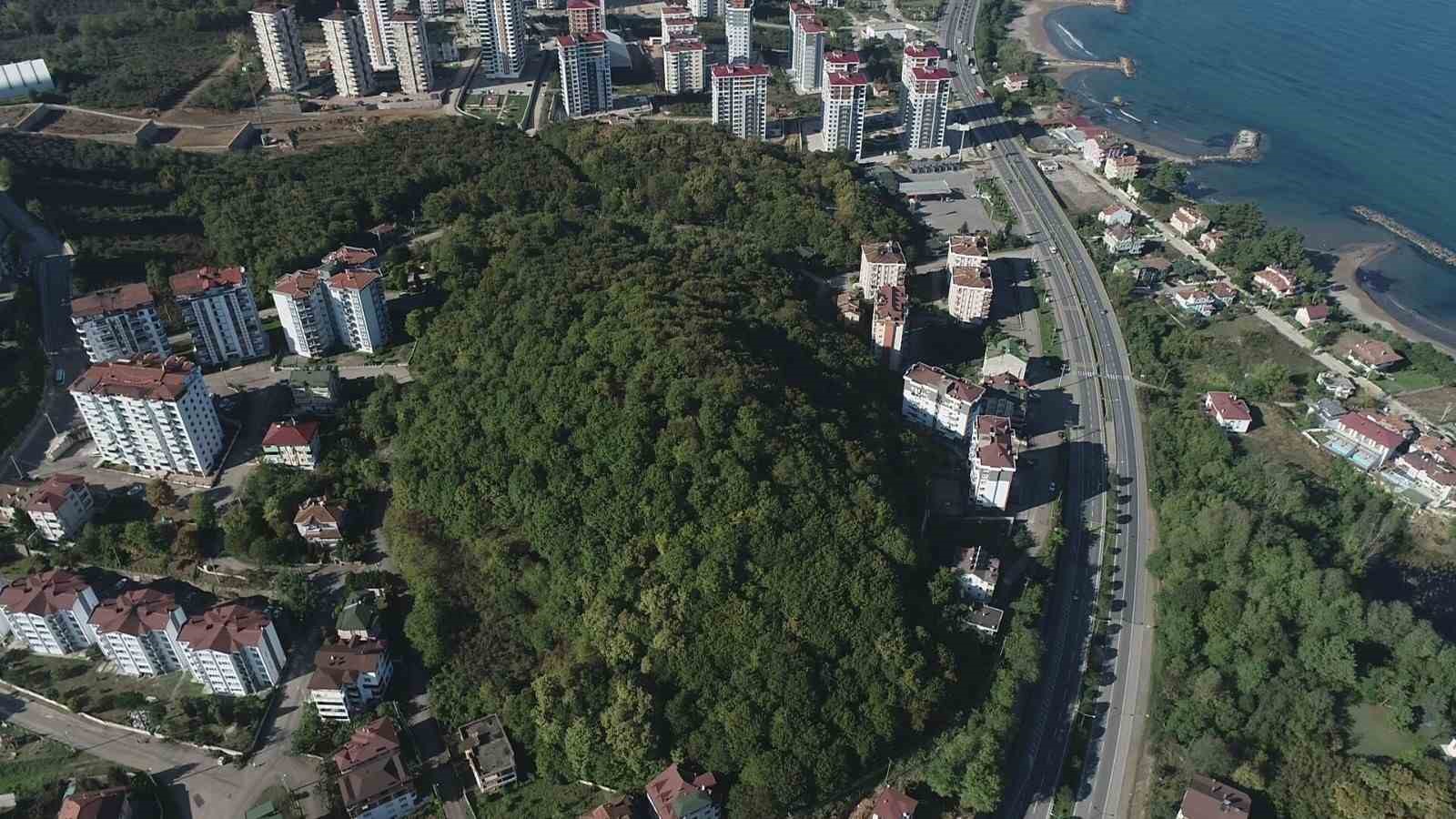 Fatsa’da 988 iş yeri ruhsatsız çıktı
