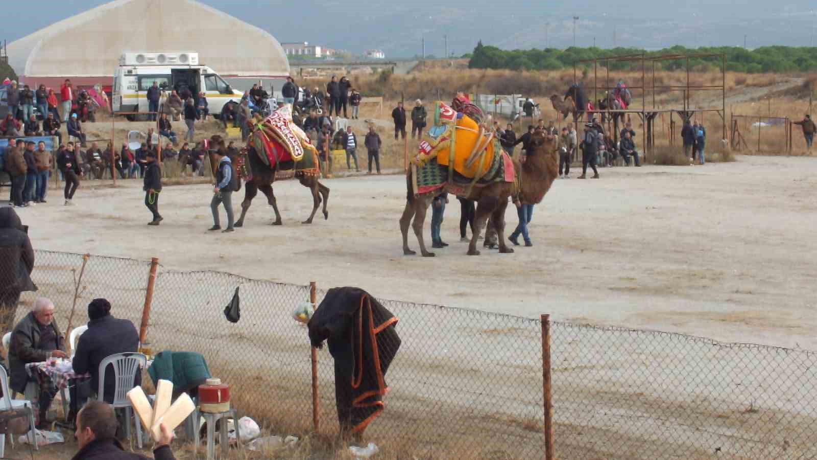 Havut Hayrı güreş severleri buluşturdu
