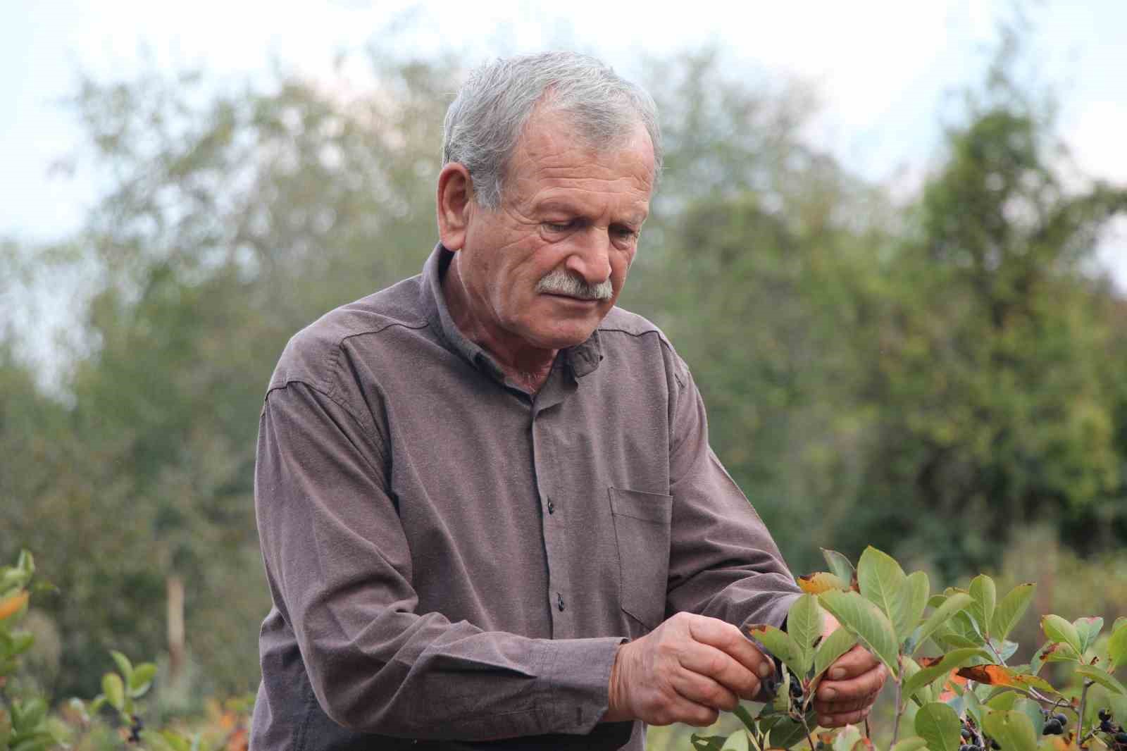 Eşinin rahatsızlığı için ektiği meyvenin taleplerine yetişemiyor
