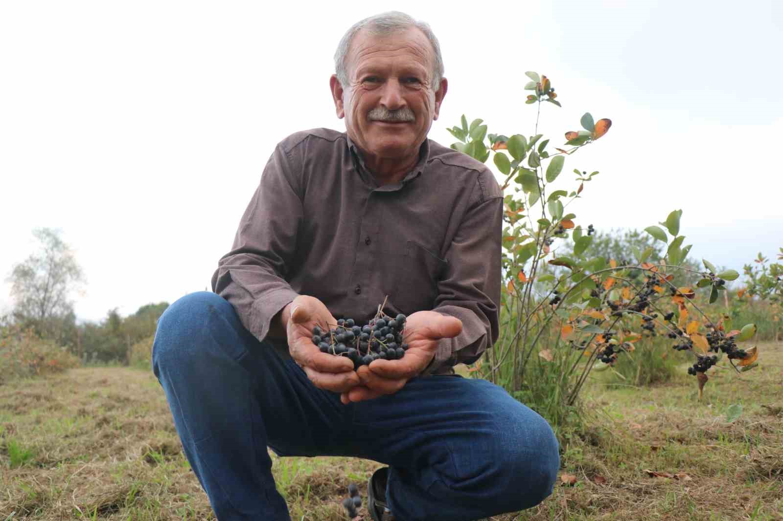 Eşinin rahatsızlığı için ektiği meyvenin taleplerine yetişemiyor
