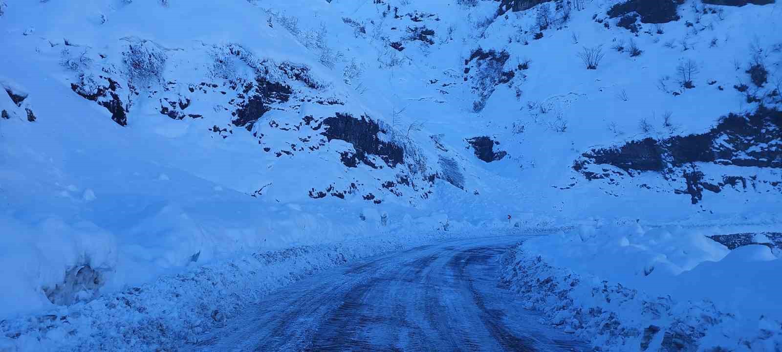 Çığ nedeniyle kapanan Artvin-Macahel yolu ulaşıma açıldı
