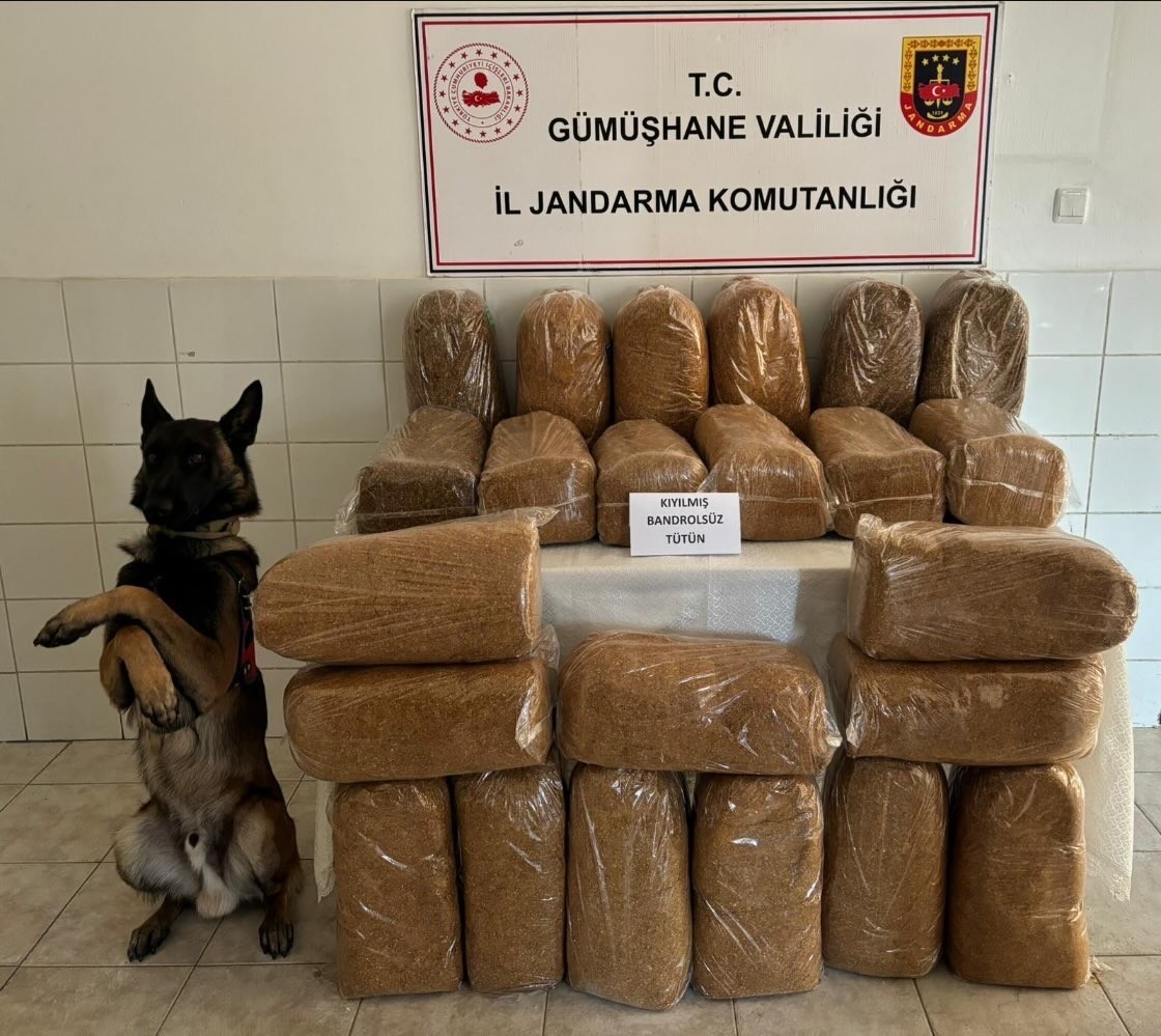 Gümüşhane’de 138 kilogram kaçak tütün ele geçirildi
