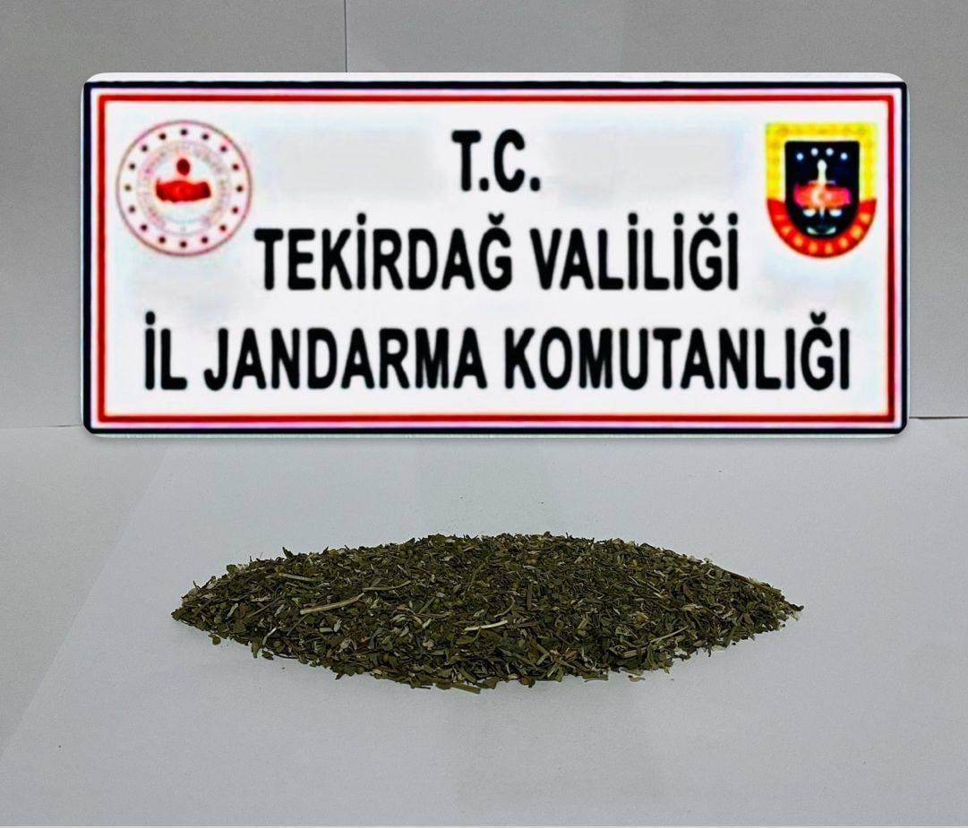 Tekirdağ’da zehire geçit yok
