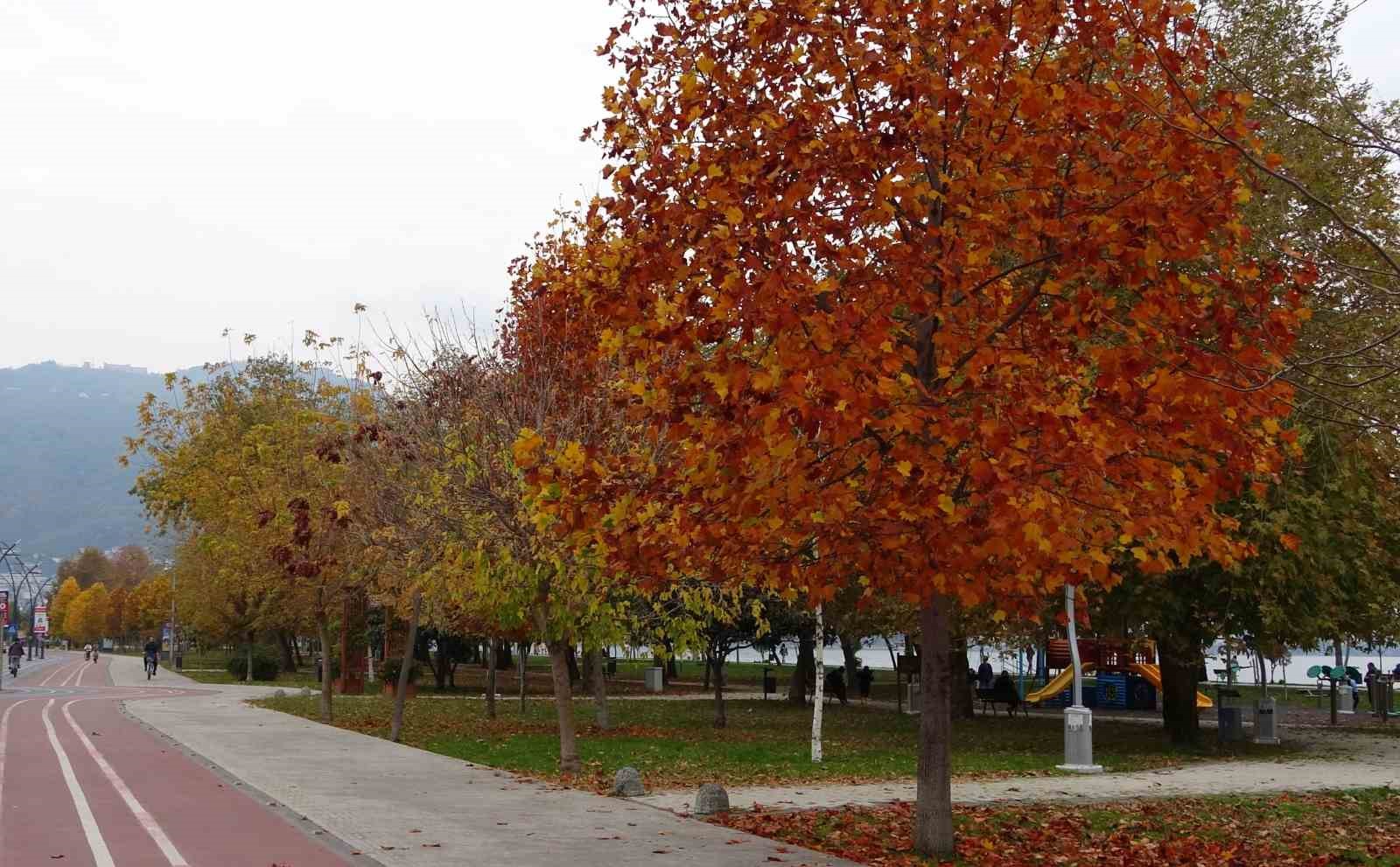 Ordu sahilinde ‘sonbahar’ güzelliği
