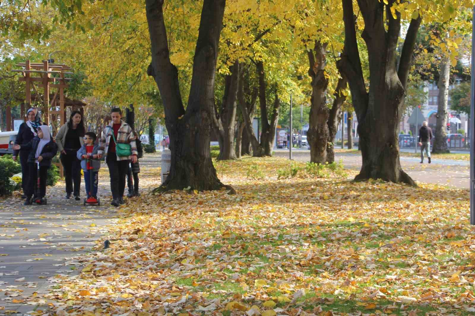 Ordu sahilinde ‘sonbahar’ güzelliği
