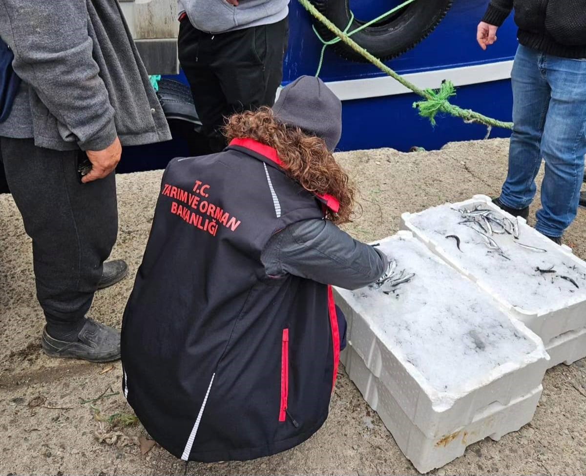 Türkeli’de hamsi avcılığı denetimleri sıklaştı
