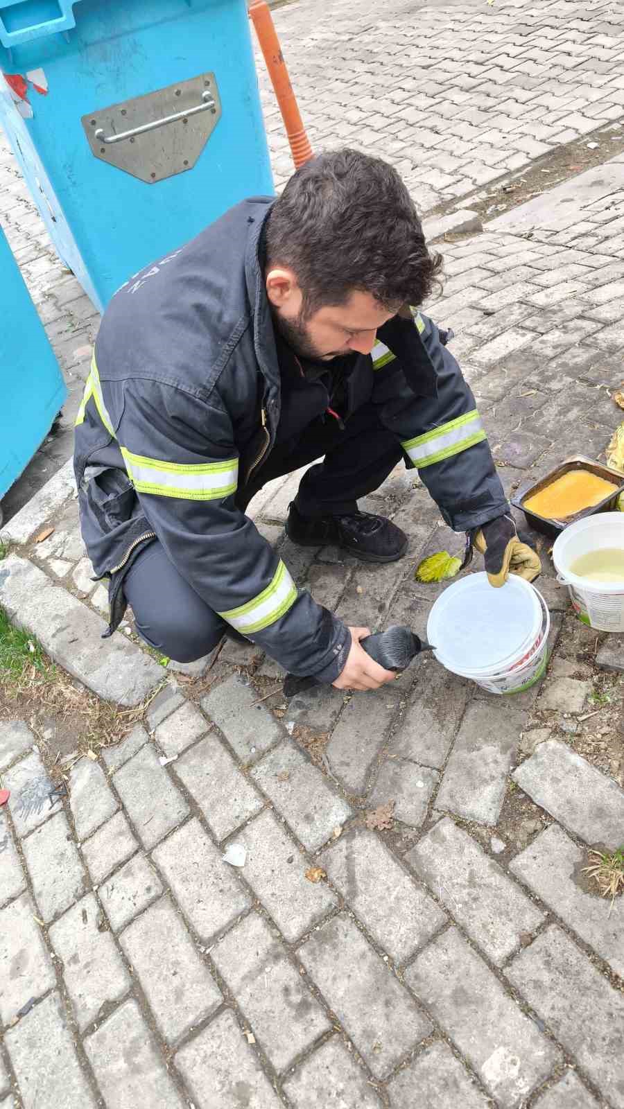 Ayağına ip dolanan karga ağaçta mahsur kaldı
