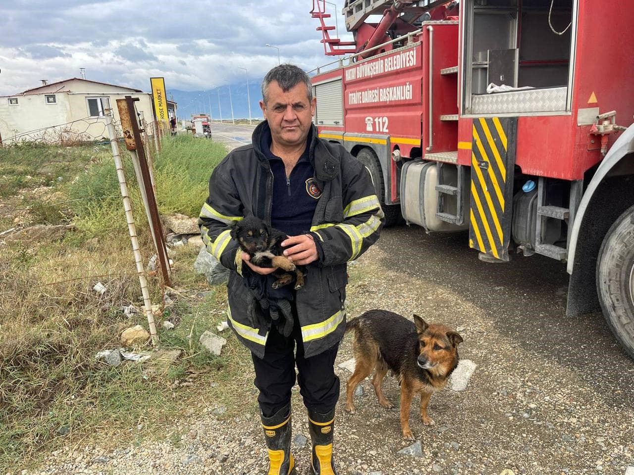 Samandağ’da yağmur suyu giderinde mahsur kalan yavru köpekler kurtarıldı
