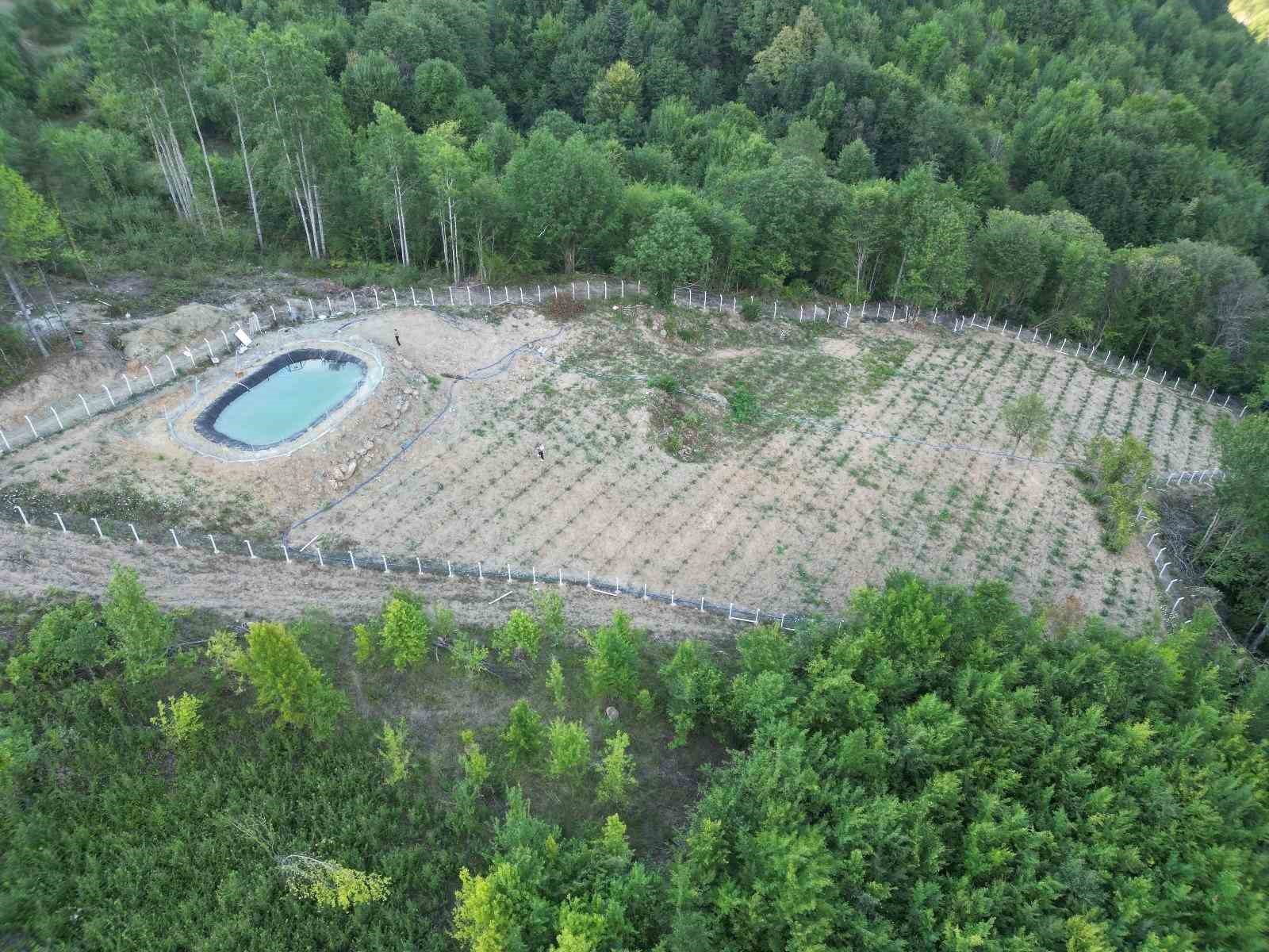 Kastamonu’da 100 tonluk su hasadı ile verimli sulama dönemi başladı
