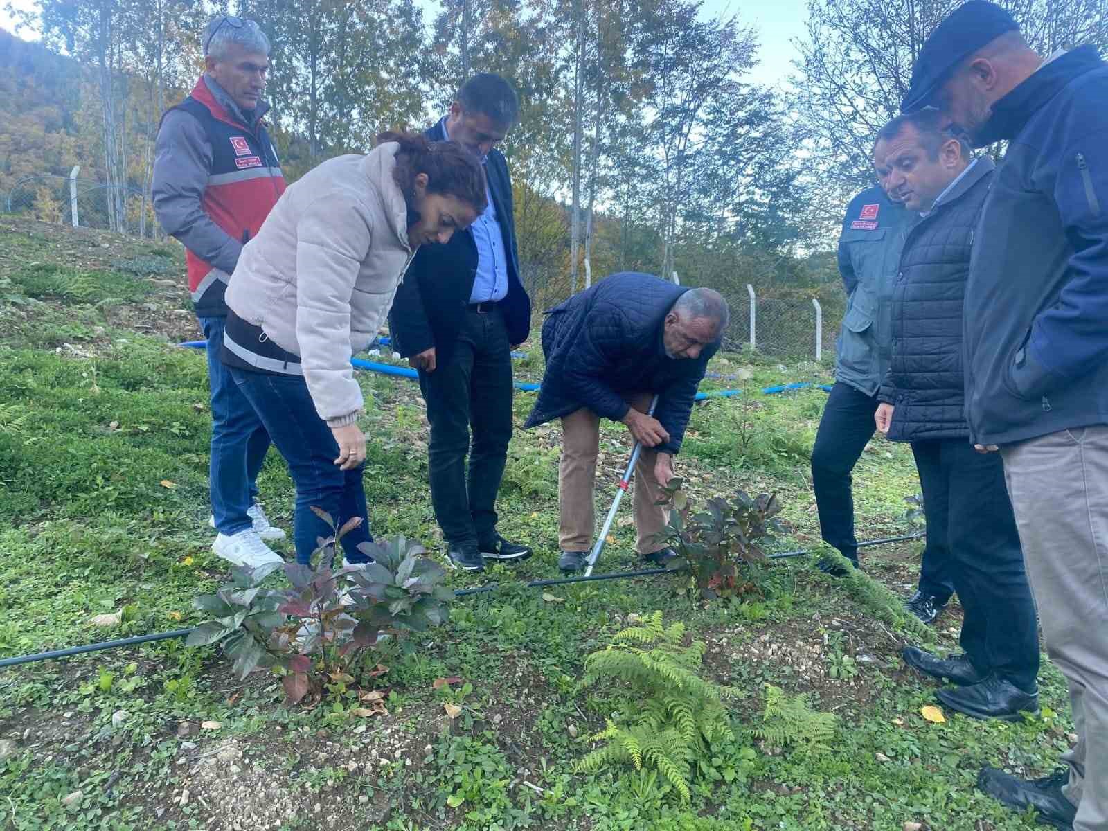 Kastamonu’da 100 tonluk su hasadı ile verimli sulama dönemi başladı
