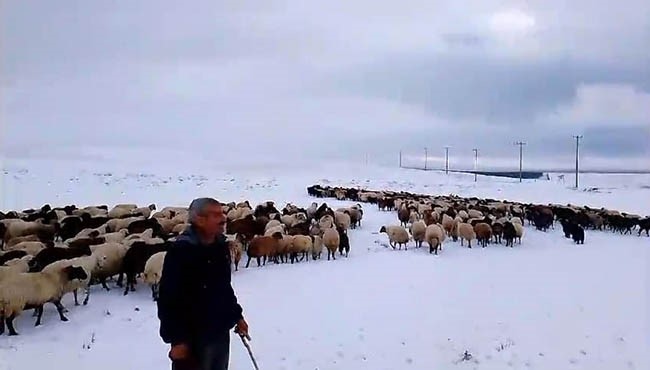 Kar yağışı besicilere zor anlar yaşattı
