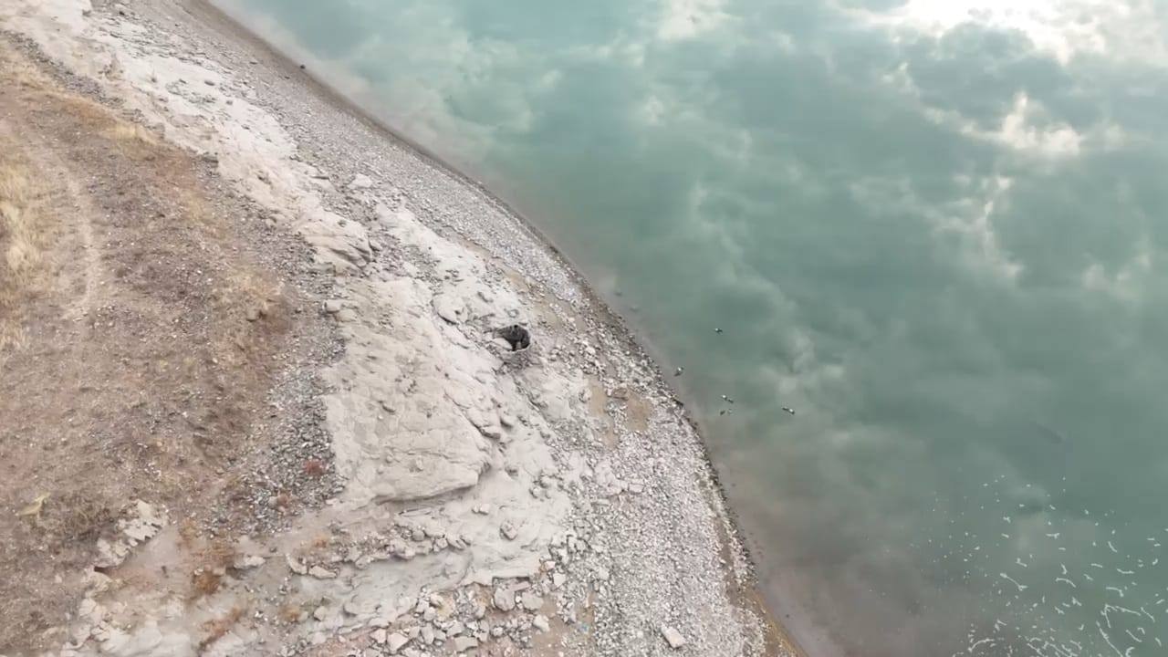 Usulsüz şekilde sakarmeke avlayan 2 kişi, dronla tespit edildi
