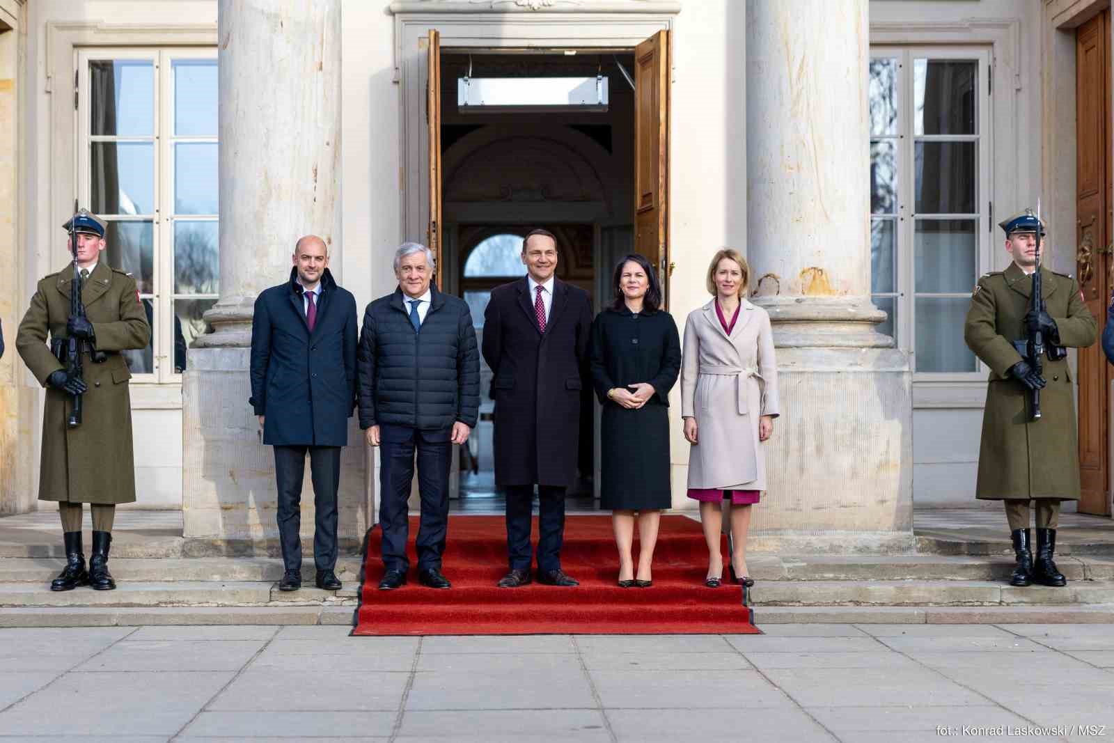 Polonya Dışişleri Bakanı Sikorski: 