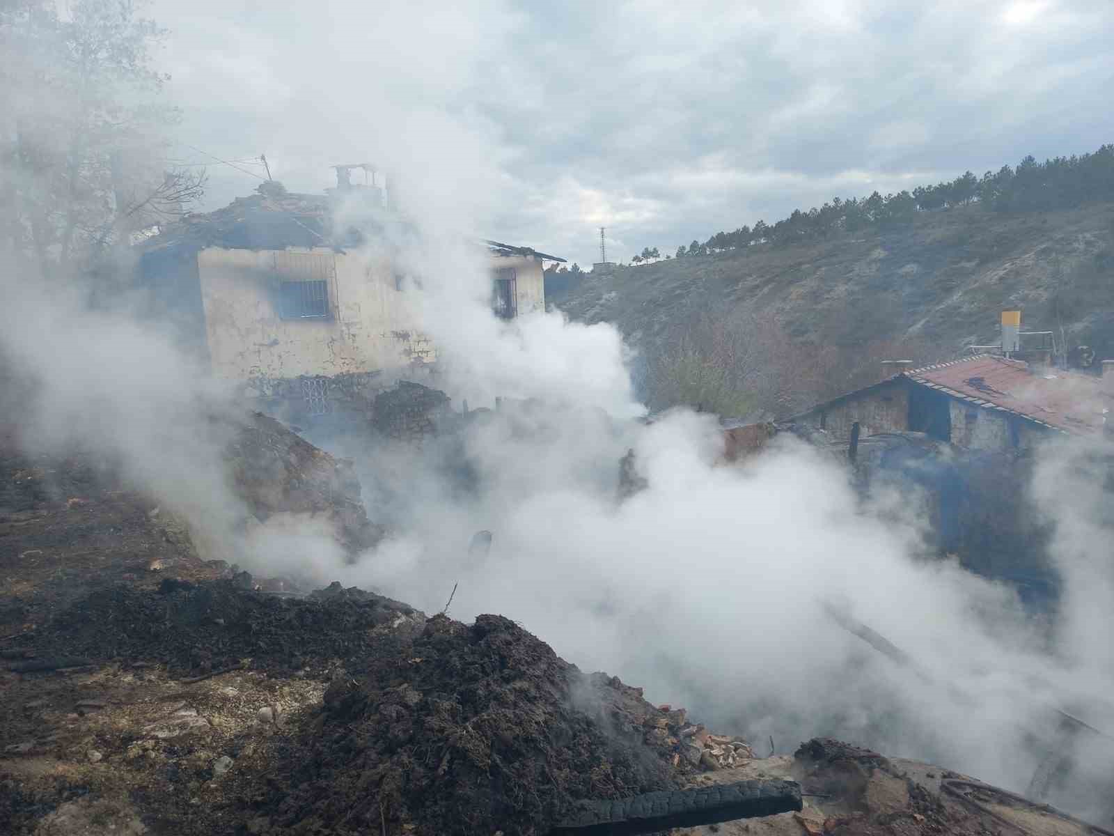 Alevlere teslim olan ev, ahır ve samanlık küle döndü
