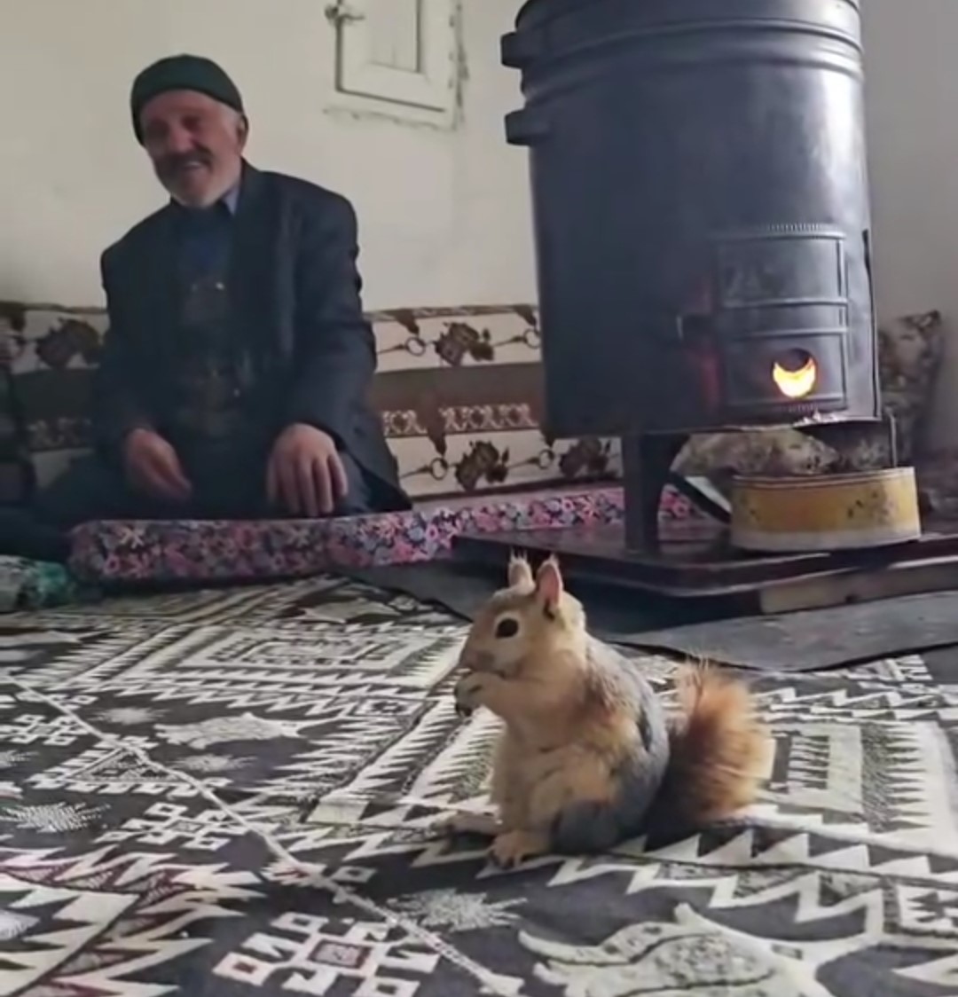 Bahçesaray’ın sevimli sincabı ilgi odağı oldu
