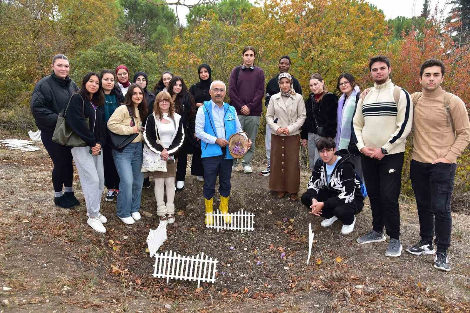 Balıkesir’de botanik bahçesinde ilk safran hasadı yapıldı
