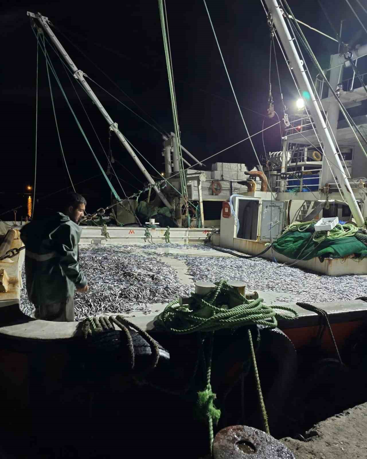 Kastamonu’da hamsi bereketi sürüyor
