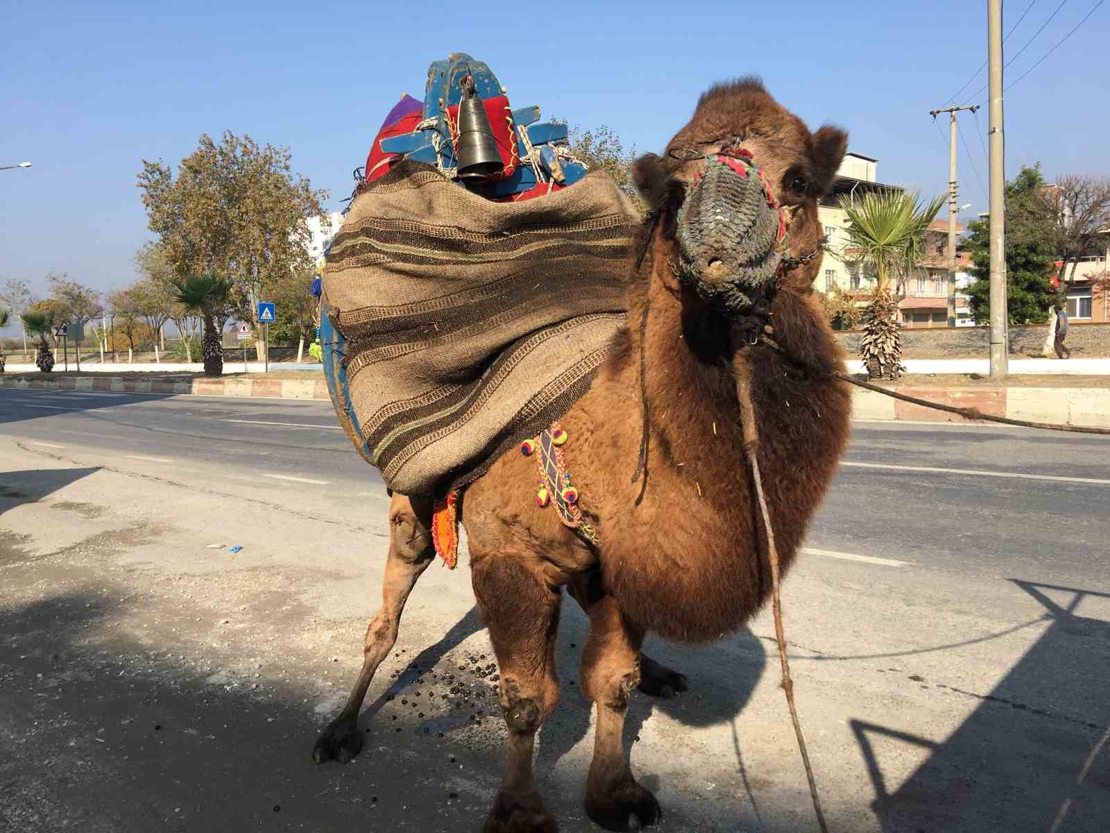 Güreşler için her gün 10 kilometre yürütülüyor
