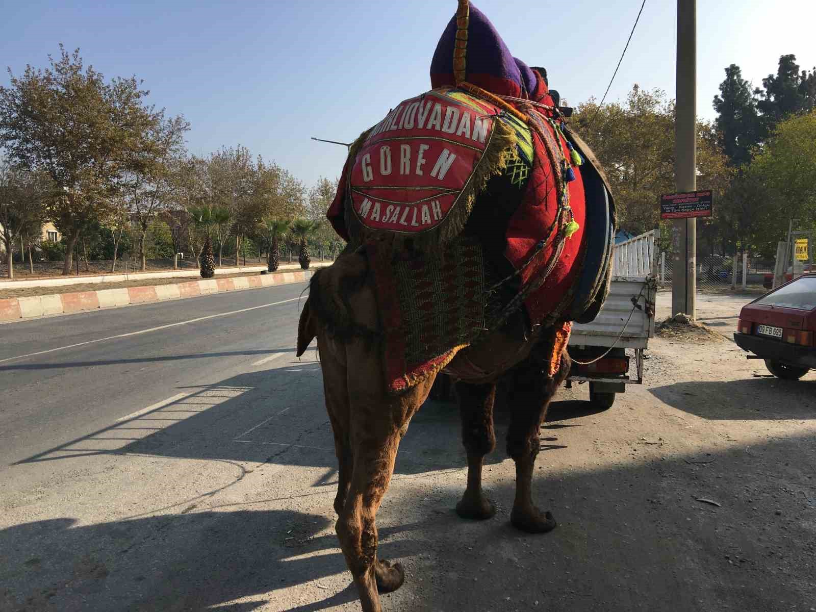 Güreşler için her gün 10 kilometre yürütülüyor
