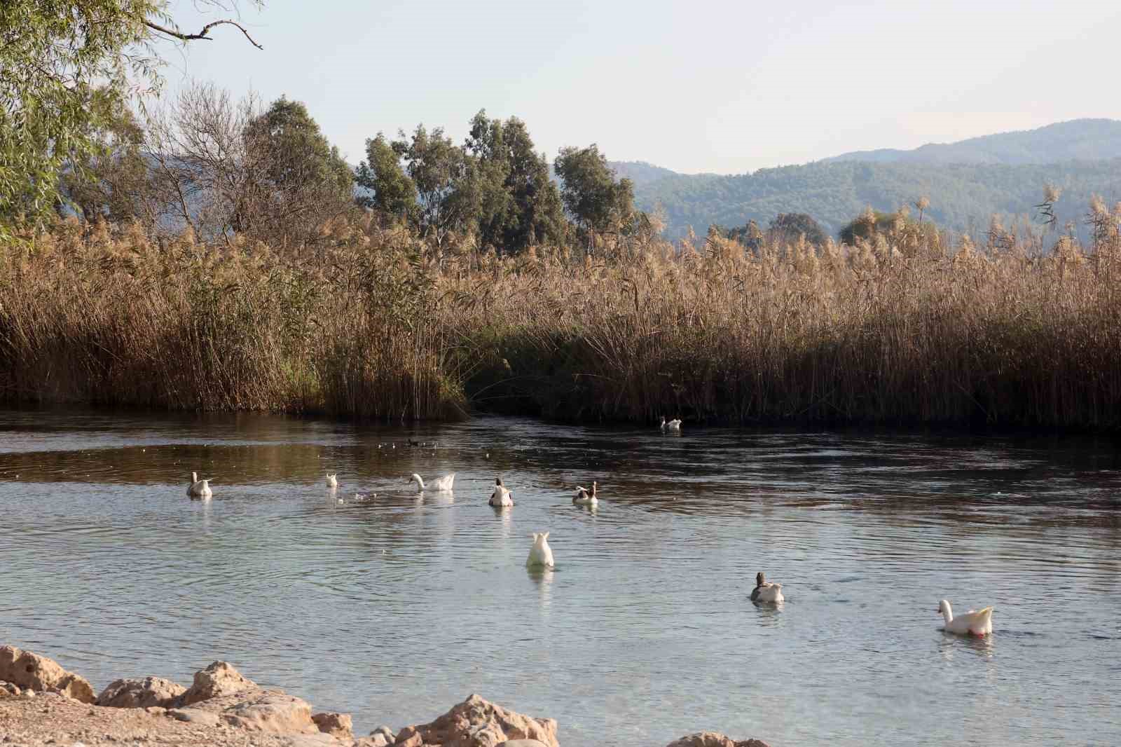 ‘Sakin Kent’ sakinliğine kavuştu
