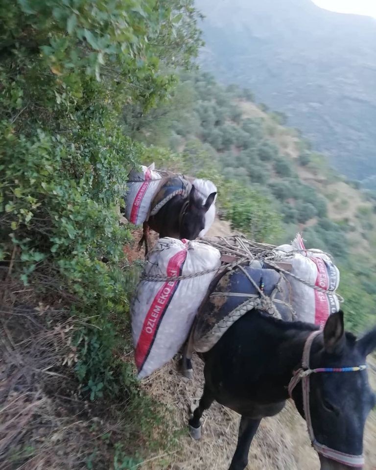 Aydın Büyükşehir Belediyesi Ilıdağlılar’ın hayatını kolaylaştırdı
